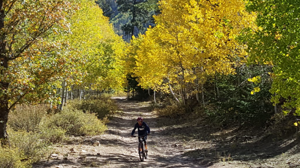 Dine Bike Project NavajoYES